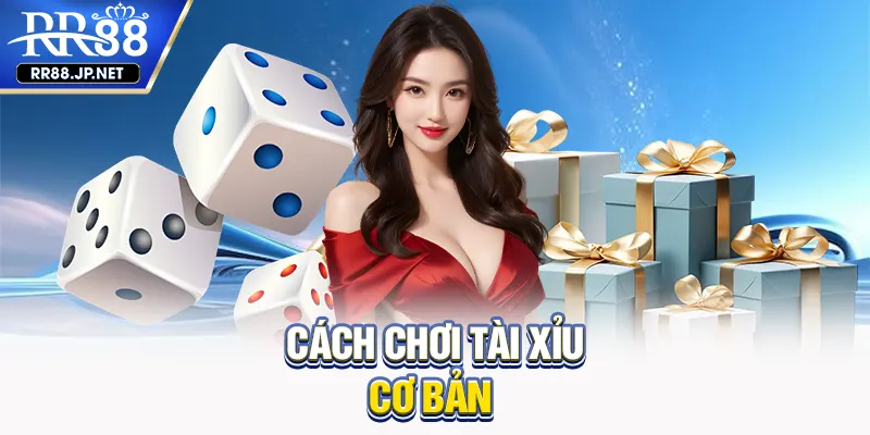 Cách chơi tài xỉu cơ bản Cách chơi tài xỉu cơ bản