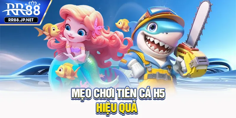 Mẹo chơi tiên cá H5 hiệu quả Mẹo chơi tiên cá H5 hiệu quả