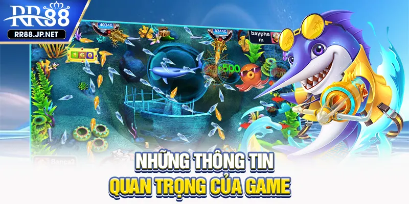 Những thông tin quan trọng của game