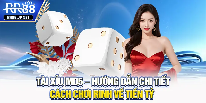 Tài Xỉu MD5 - Cách Chơi Giải Trí Thắng Lớn Rinh Tiền Tỷ