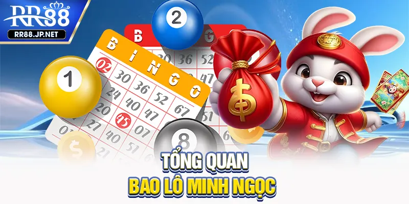 Tổng quan bao lô minh ngọc