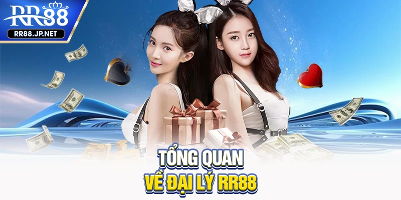 Tổng quan về đại lý RR88
